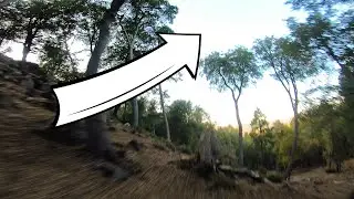 Pinchy's Bugs Be Gone // FPV Freestyle One Take