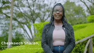 Agritourism Farming in Kericho County, Kenya | Tea Farms, Eco-Tourism & Rural Adventures