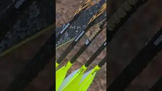 Severe Ice Storm Trad Bow Hunt OMP Smoky Mountain Recurve HuntingBeast Camera Arm #hunting #longbow