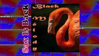 Eighties Ladies - Turned On To You + El Coco - Let's Get It Together
