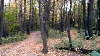 VID 20120919 165416