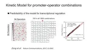 Chunbo Lou - Predictive Design of Genetic Circuit by Kinetic- or AI-Models