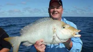 Spangled Emperor Fishing at it's best!!