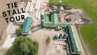 Tie Stall Milking Barn Tour - 1,000 Subs Promise Delivered!