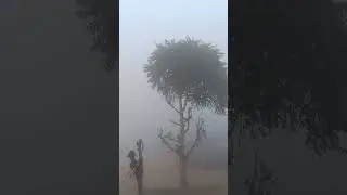 mithi mithi sardi hai