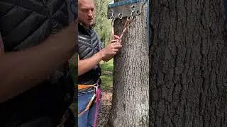 Главная точка крепления подпруги с альпийской оттяжкой #многоверёвочная #скалолазание #верёвка