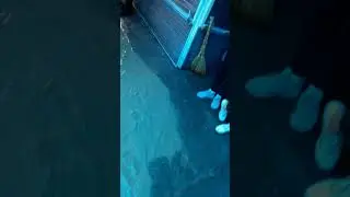 Gurcustan Marneuli SEL . Guclu yagish neticesinde ollan sel marneuli bazarina ziyan vurdu.