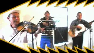 trovadores de panuco del viejo camalote 2013