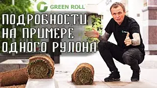 Газон рулонный универсальный. Каким бывает рулонный газон