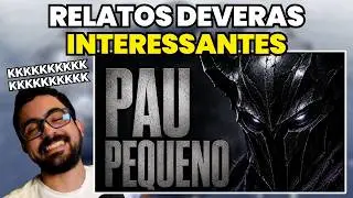 Esse é o melhor vídeo da internet