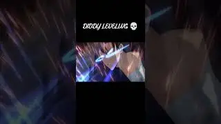 DIDDY LEVELING