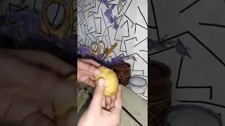 hassalback potato🥔| #delicious #crispydelicious|