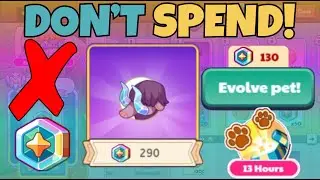 DONT Spend Magic Coins On These Things! | Prodigy Math Game