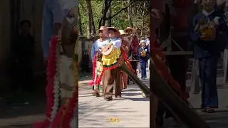 Myanmar Traditional Shinbyu Ceremony #shinbyu #youtubeshort #kmsvlog #kmstravel
