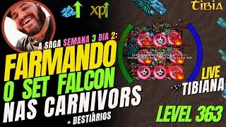 🔴LIVE DE TER&Ccedil;A FEIRA DO CANAL - SAGA FARMANDO O SET FALCON  SEMANA 3 DIA 2 - 4/11/2025 🔴