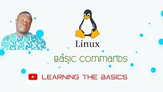 Learning The Basics: Brief Intro on Basic Shell Commands.