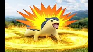 Pokemon Run and Bun: Final Gambits and Eruptions on Route 113!