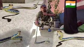 Common Bronzeback Tree Snake Rescue At- Hooghly district | snake rescuo squad | snake rescue video