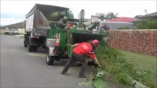 Bamboo shredding.
