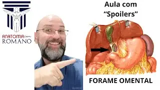 Aula Forame Omental - Forame de WINSLOW