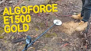 Our First GOLD With The AlgoForce E1500 Plus And It's A Chunk!