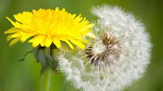 Trusting Your Transformation Without Self-Judgment