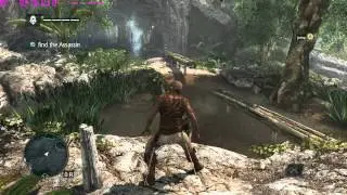 ASSASSIN CREED 4 ON R9 290X