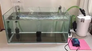 Akvaryum Dış Filtre Kutu Açılımı+İnceleme - Aquarium Filter Review - Sunsun 603b #aquarium