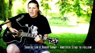 Subkultur // Harry Gump - Another Star to follow