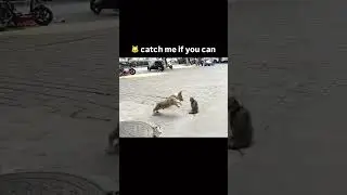 he know his range 😂😭 #funny #fypviral #fyp #dance #cute #memes4ever #meme4life #fun #fypviral #funny
