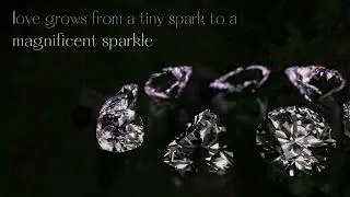 TAOJ Our Diamond Quality Guarantee