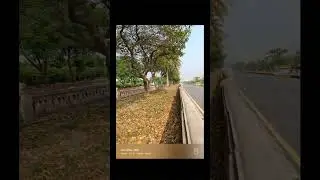 Oneplus 15r camera shot zoom test