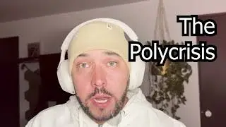 The Polycrisis Now