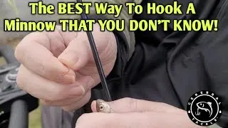 The BEST WAY EVER To Hook A Minnow (And You Don't Know It!)