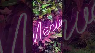 Protez Tırnak Vol.50 | Merve K&uuml;peli Beauty #manik&uuml;r #proteztırnak #g&uuml;zellik&ouml;nerileri
