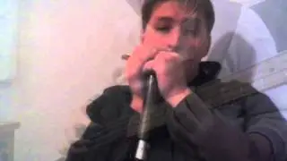 IsntSheLovely bass & harmonica cover