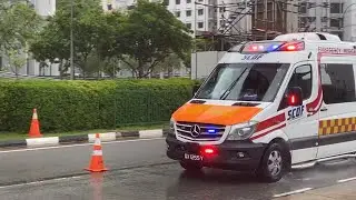 [RESPONSE] SCDF A331
