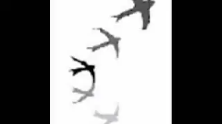 Swiftlet Sound For Sale (GS-9 [Out] )