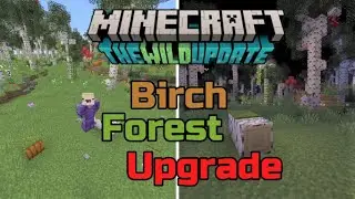 Birch Forest Update 1.19 Minecraft