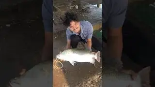 Using soft lures to catch big fish on Sae in Telugu. (Ocean fishing) #fishing #blogger #lure #GT