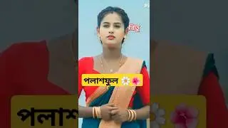 Palash Ful  || Shankar Tantubai || New Purulia Video Song 2025 || Rs Sailendra and Ritu Mehata