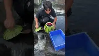 Genius Watermelon Hack: A Simple & Effective Eel Trap #shorts #fishing #diy #eeltrap #survival