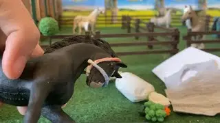 Fanpakete auspacken 💕🍀 Schleich 🥰