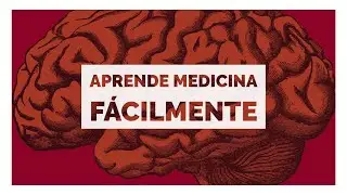 Técnicas de estudio en Medicina: Generalidades