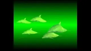 Animations created with old version of Blender (Old stuff)