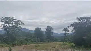 beautiful Nature Teda Village Sitamani Road Ramnagar