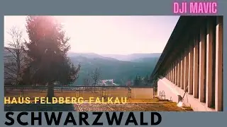 Feldberg Falkau Hotel Scharzwald