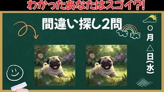 【間違い探し】これがわかったあなたの脳年齢は若い！！サクッと脳を活性化！