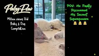 Cutest Baby & Dog Moments - Compilation 11