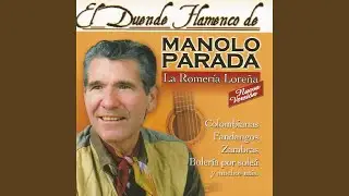 Tu Belleza No la Olvido